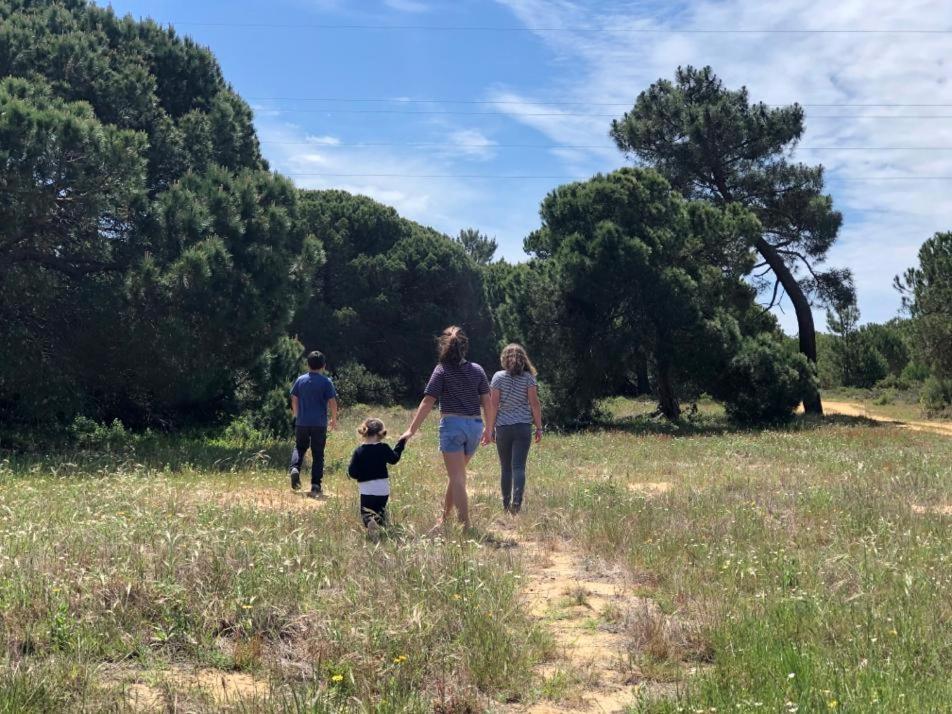 Herdade Do Freixial - Turismo Rural 빌라노바데밀폰테스 외부 사진
