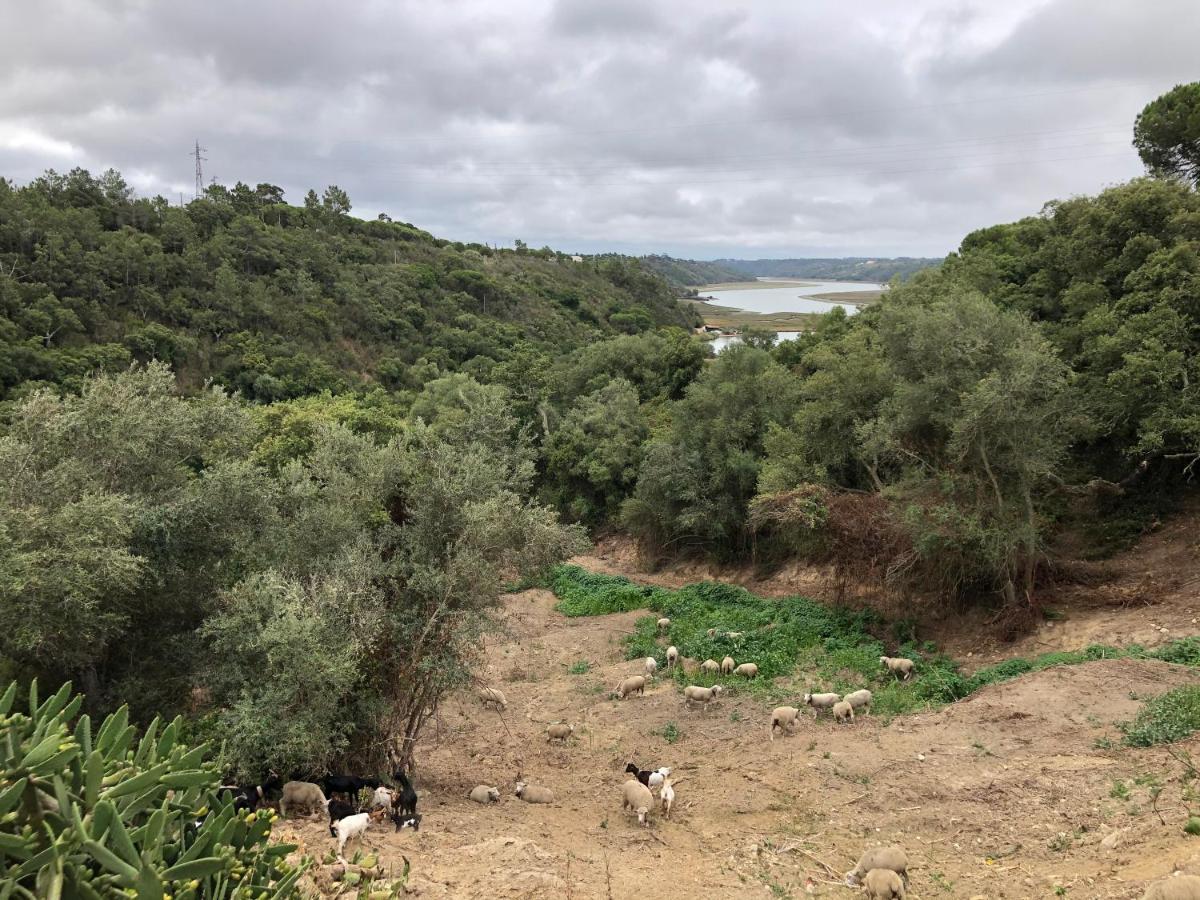 Herdade Do Freixial - Turismo Rural 빌라노바데밀폰테스 외부 사진
