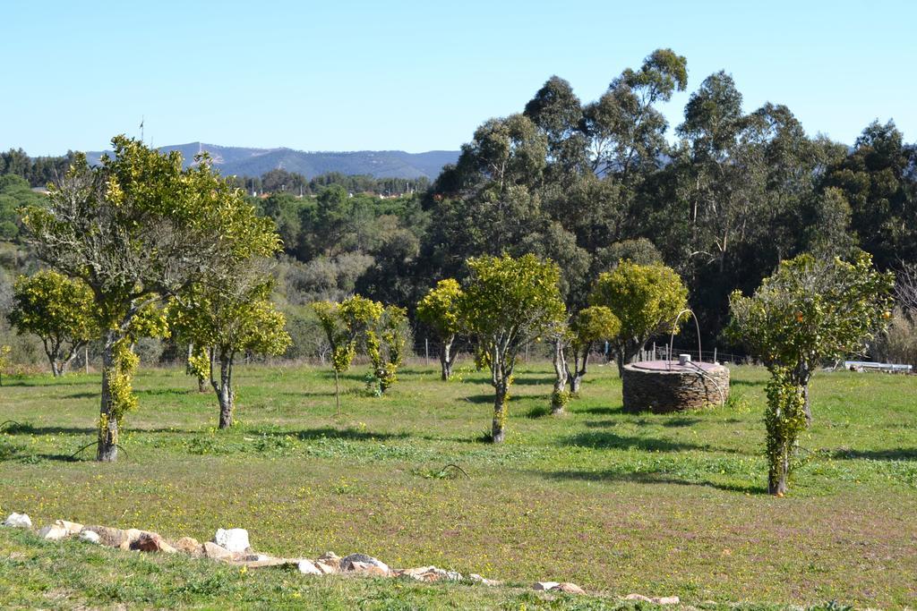 Herdade Do Freixial - Turismo Rural 빌라노바데밀폰테스 외부 사진