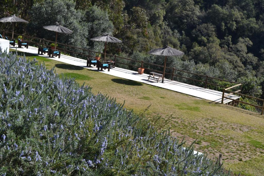Herdade Do Freixial - Turismo Rural 빌라노바데밀폰테스 외부 사진