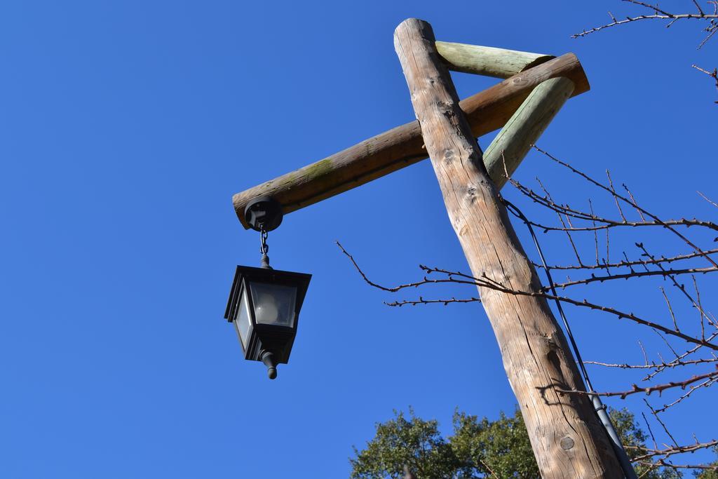 Herdade Do Freixial - Turismo Rural 빌라노바데밀폰테스 외부 사진