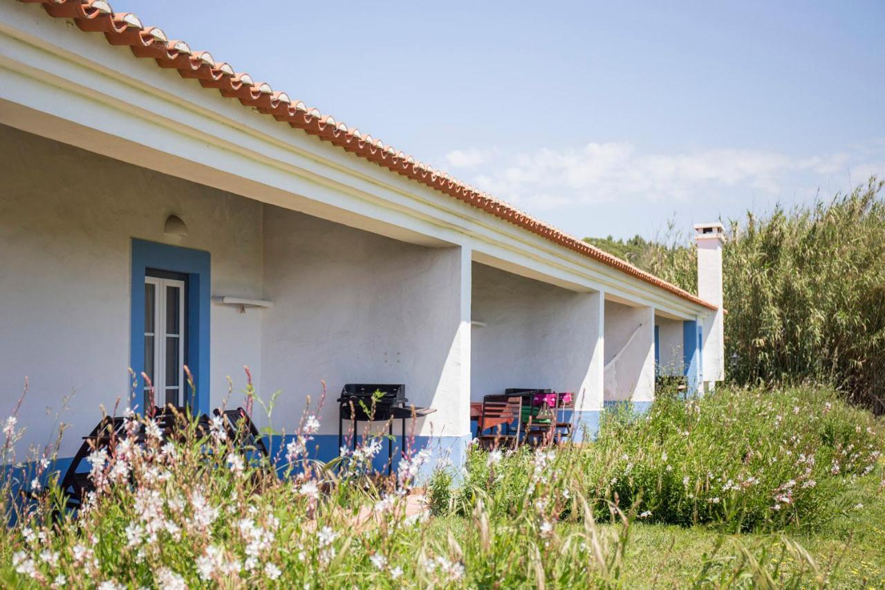 Herdade Do Freixial - Turismo Rural 빌라노바데밀폰테스 외부 사진